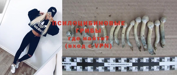дурь Покачи