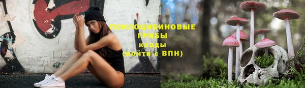 дурь Покачи