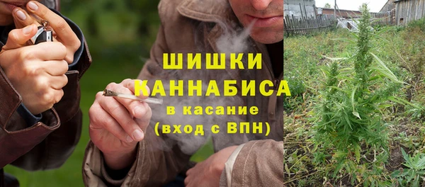 ПСИЛОЦИБИНОВЫЕ ГРИБЫ Покровск