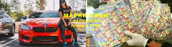 ПСИЛОЦИБИНОВЫЕ ГРИБЫ Покровск