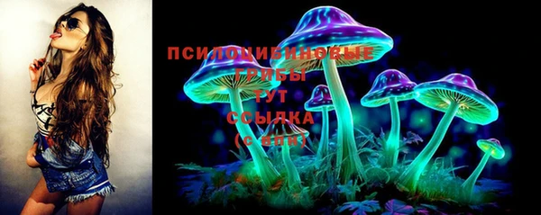 дурь Покачи
